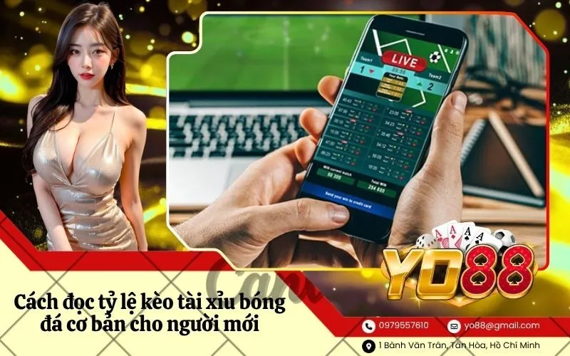 Cách đọc tỷ lệ kèo tài xỉu bóng đá cơ bản cho người mới