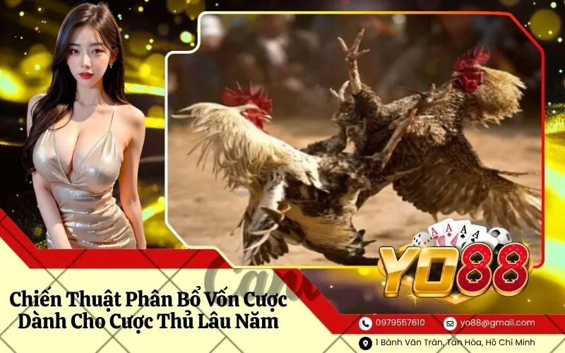 Chiến Thuật Phân Bổ Vốn Cược Dành Cho Cược Thủ Lâu Năm