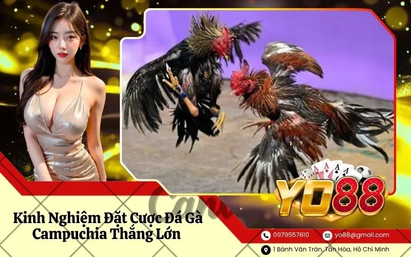 Đá Gà Campuchia