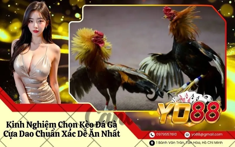 Đá Gà Cựa Dao