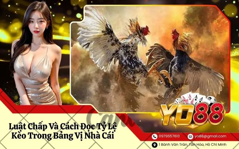 Luật Chấp Và Cách Đọc Tỷ Lệ Kèo Trong Bảng Vị Nhà Cái