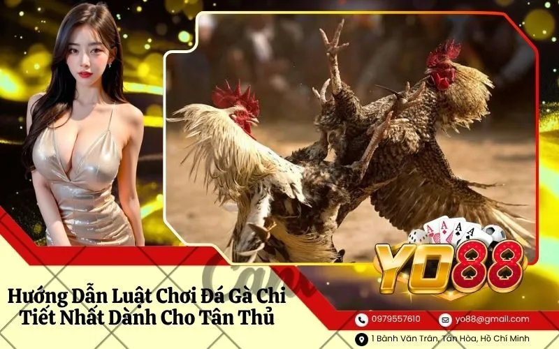 Luật Chơi Đá Gà