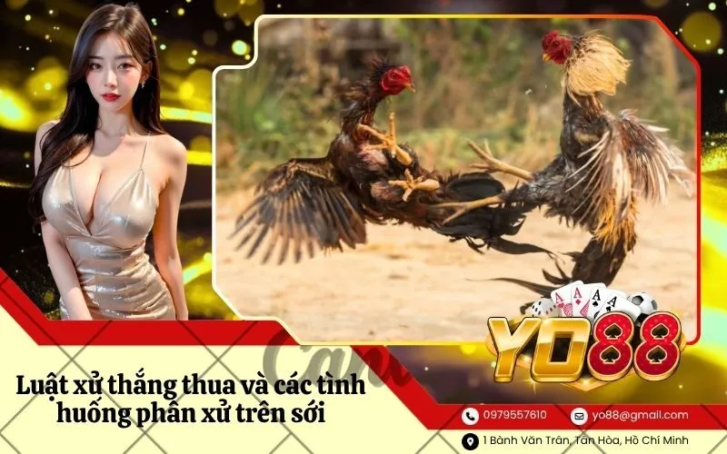 Luật xử thắng thua và các tình huống phân xử trên sới