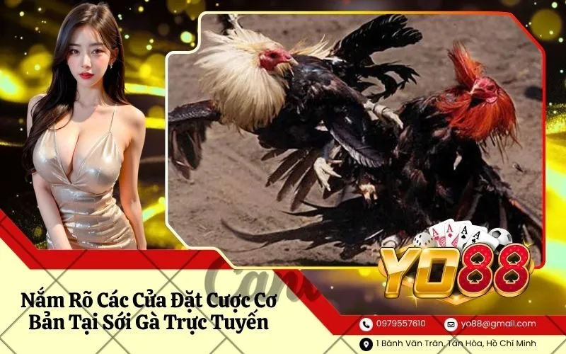 Nắm Rõ Các Cửa Đặt Cược Cơ Bản Tại Sới Gà Trực Tuyến