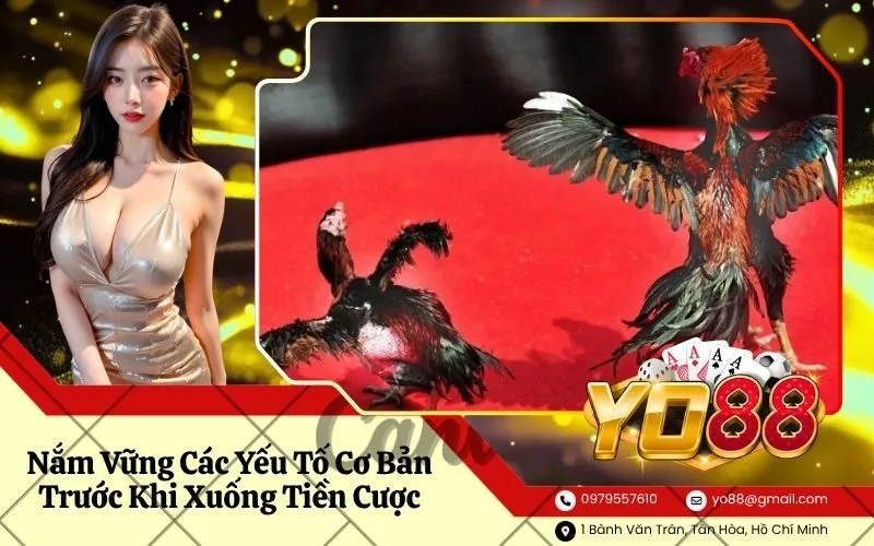Nắm Vững Các Yếu Tố Cơ Bản Trước Khi Xuống Tiền Cược